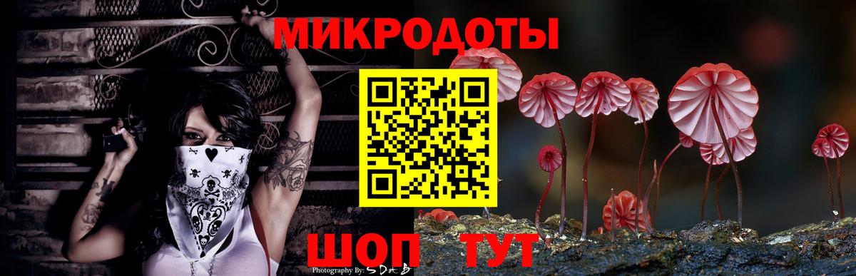Галлюциногенные грибы Psilocybine cubensis  Галлюциногенные грибы GOLDEN TEACHER  Вход с VPN  Камень-на-Оби 